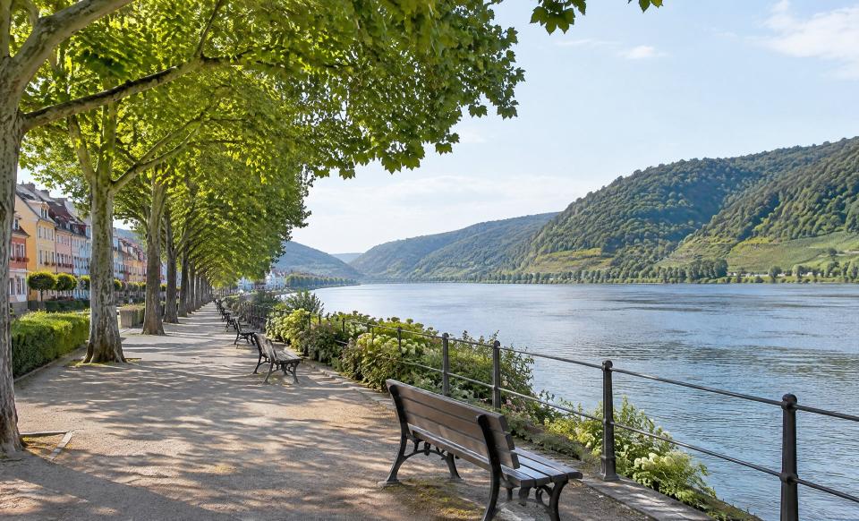 Seniorenbetreuung & Seniorenpflege zu Hause in Koblenz
