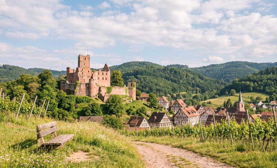 Seniorenbetreuung & Seniorenpflege zu Hause in Lörrach