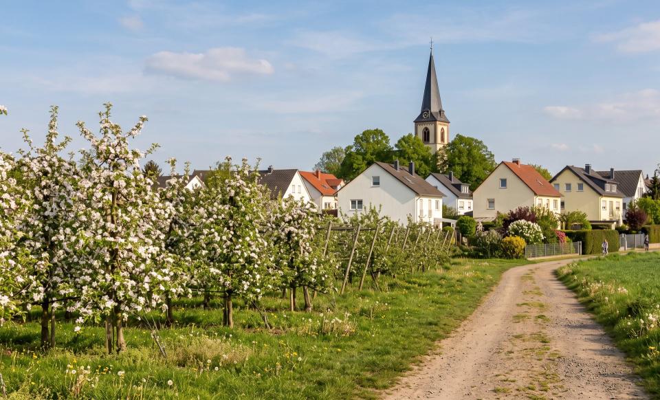Seniorenbetreuung & Seniorenpflege zu Hause in Meckenheim